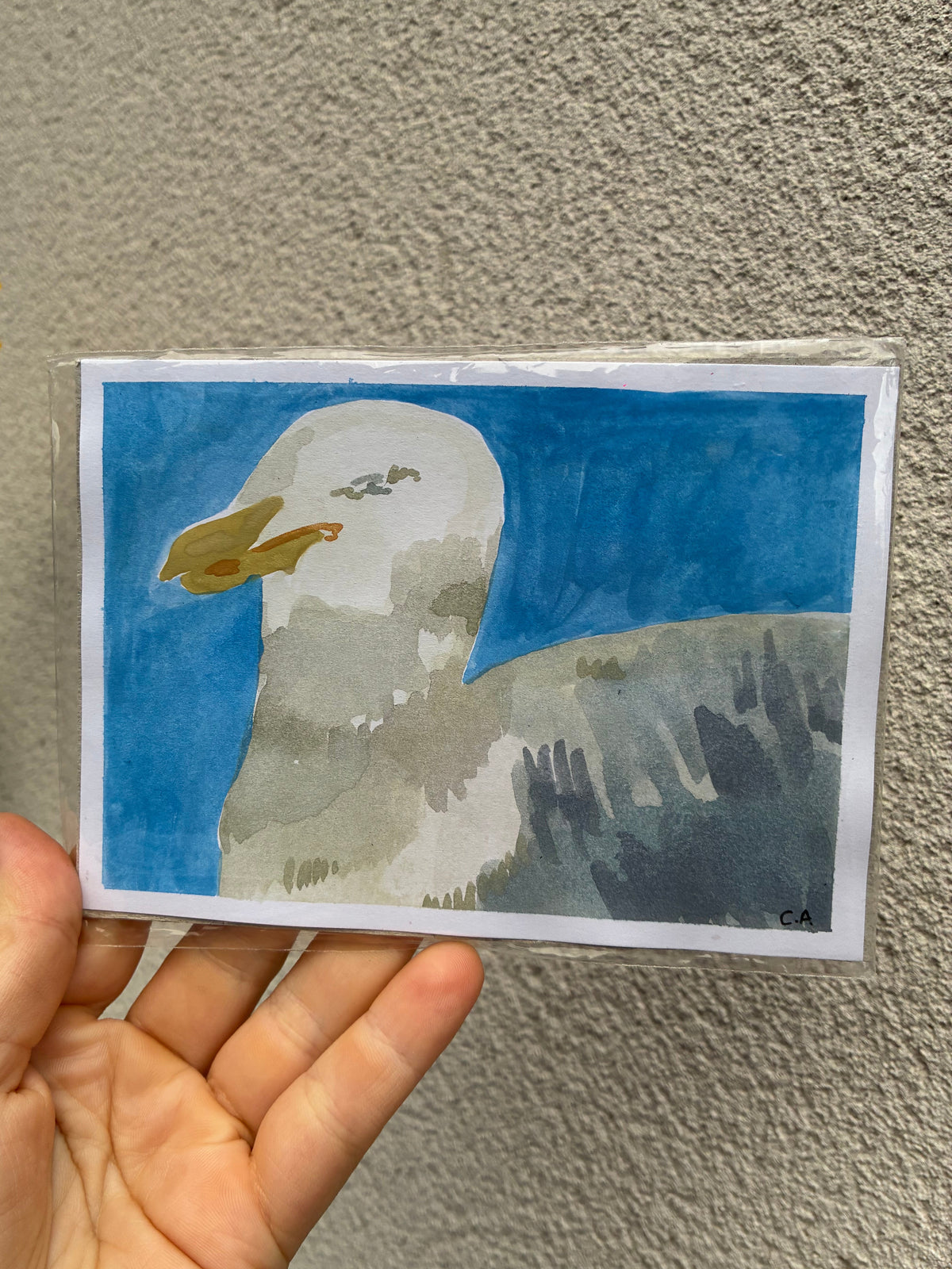 Birdie XI