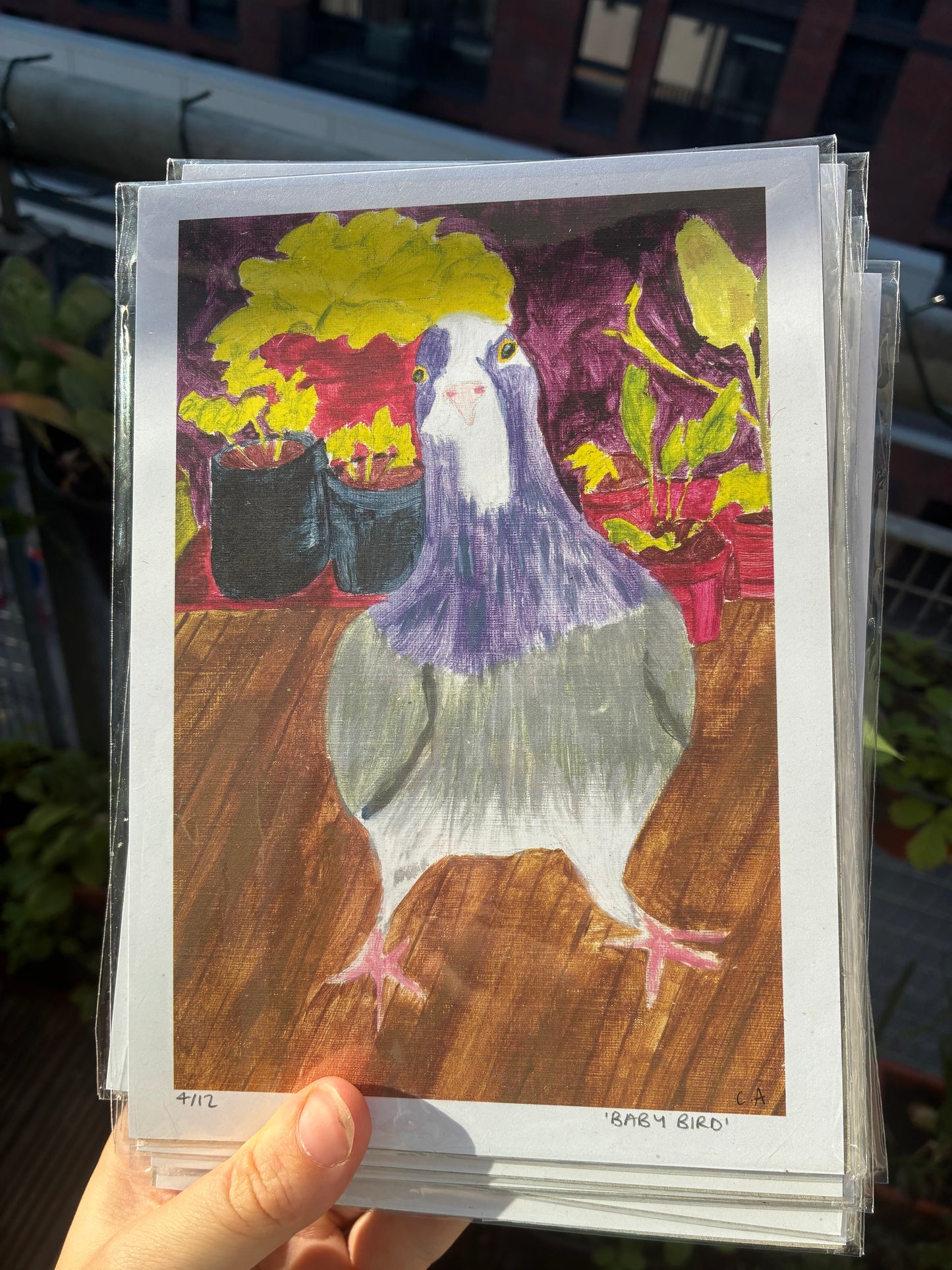 Baby Bird - Limited Edition Print