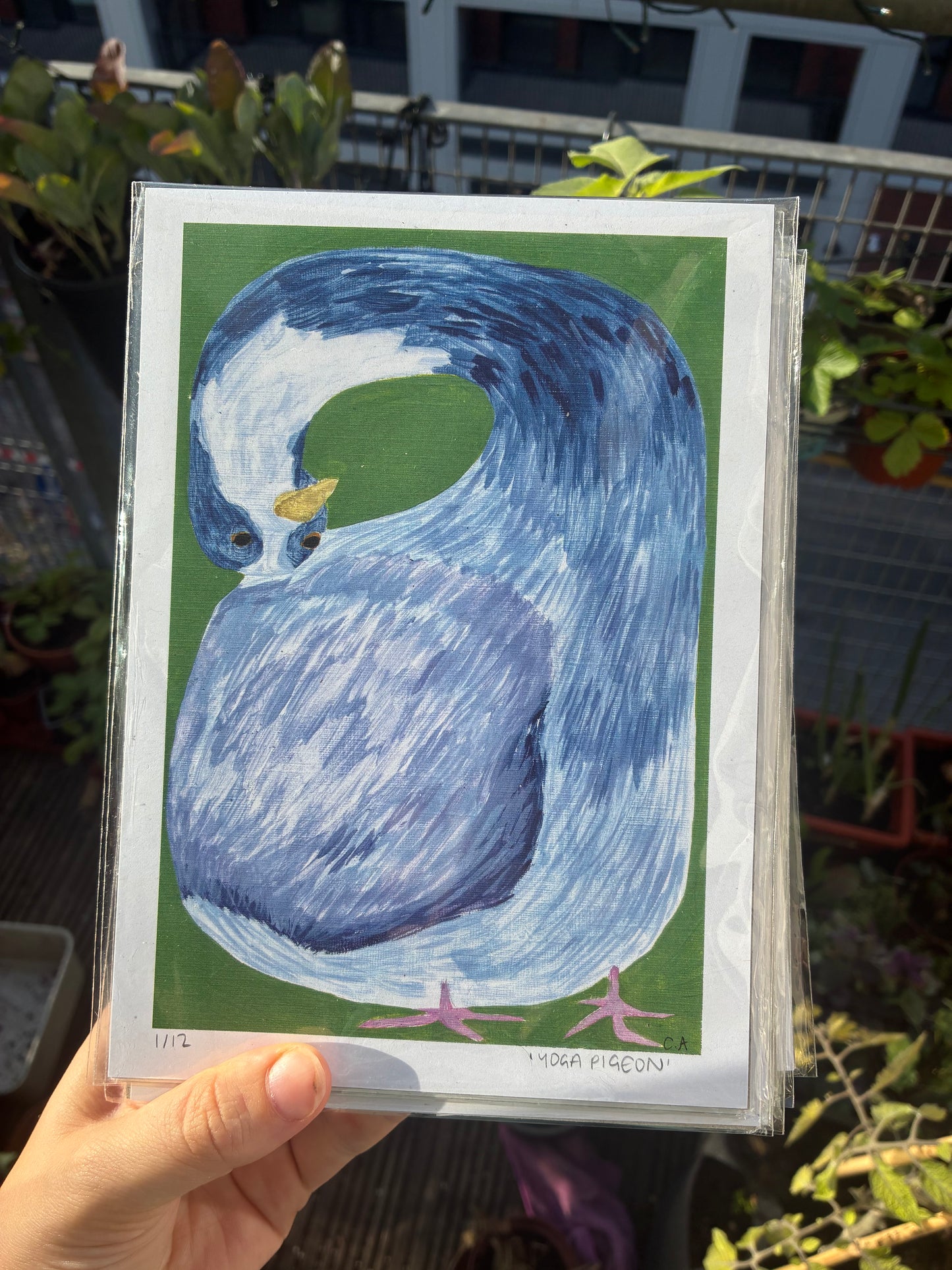 Yoga Pigeon - Limited Edition Print