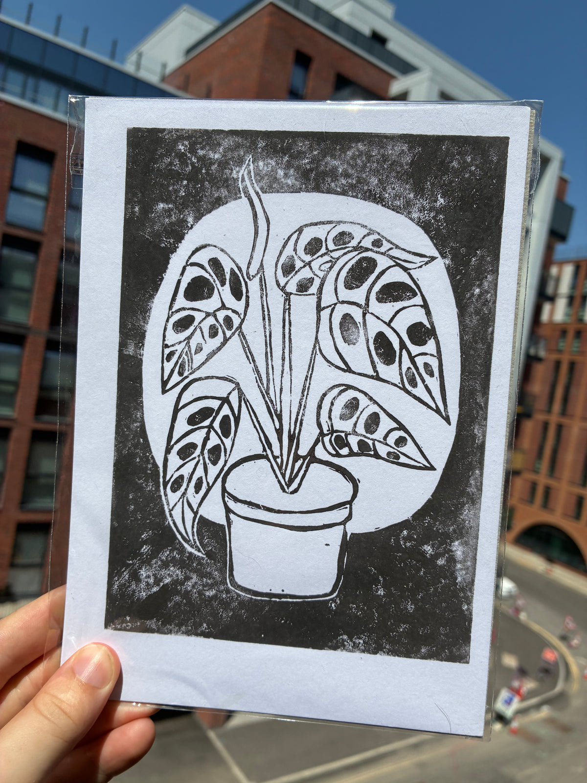 Monstera II