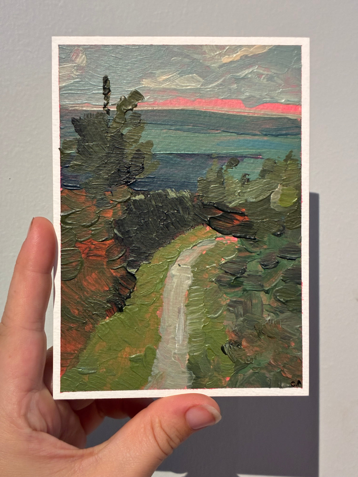 Pembrokeshire Postcard I
