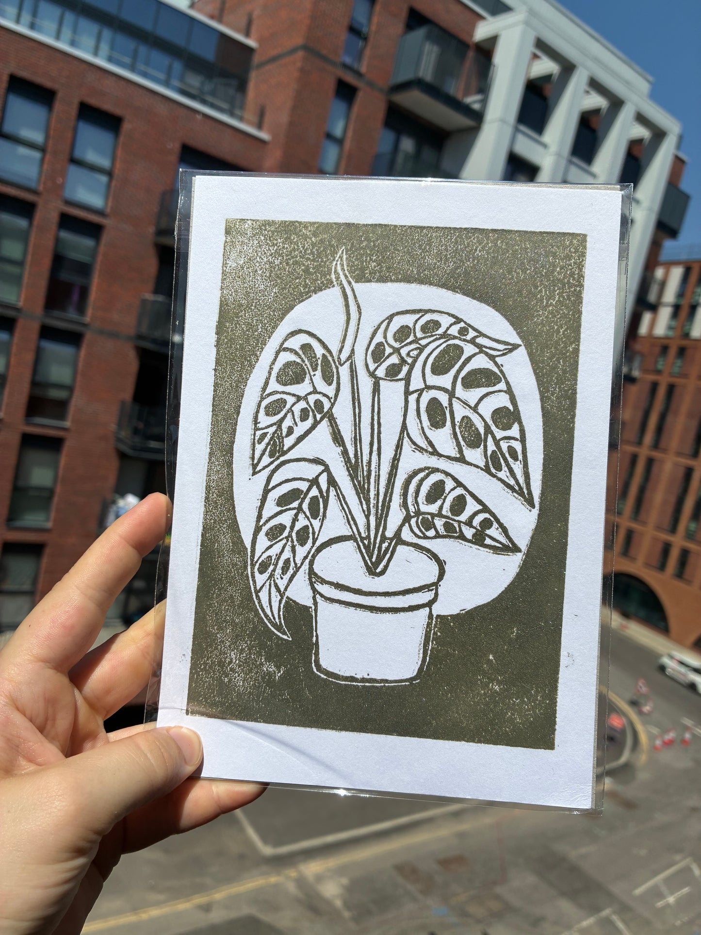 Monstera III