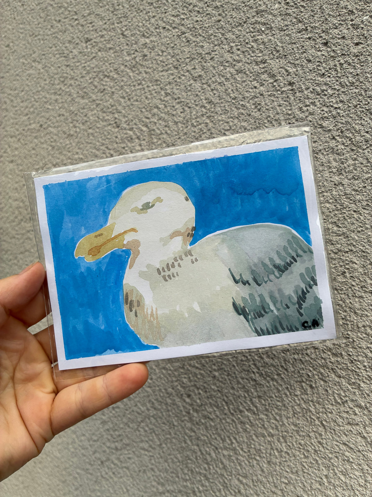 Birdie XII